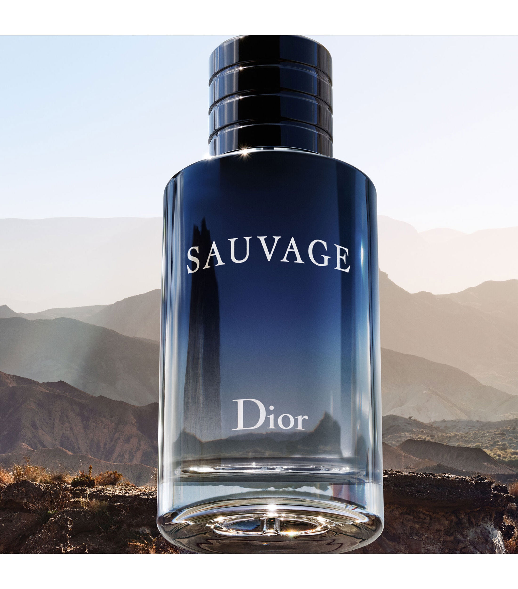 Sauvage 100ml EDT Spray