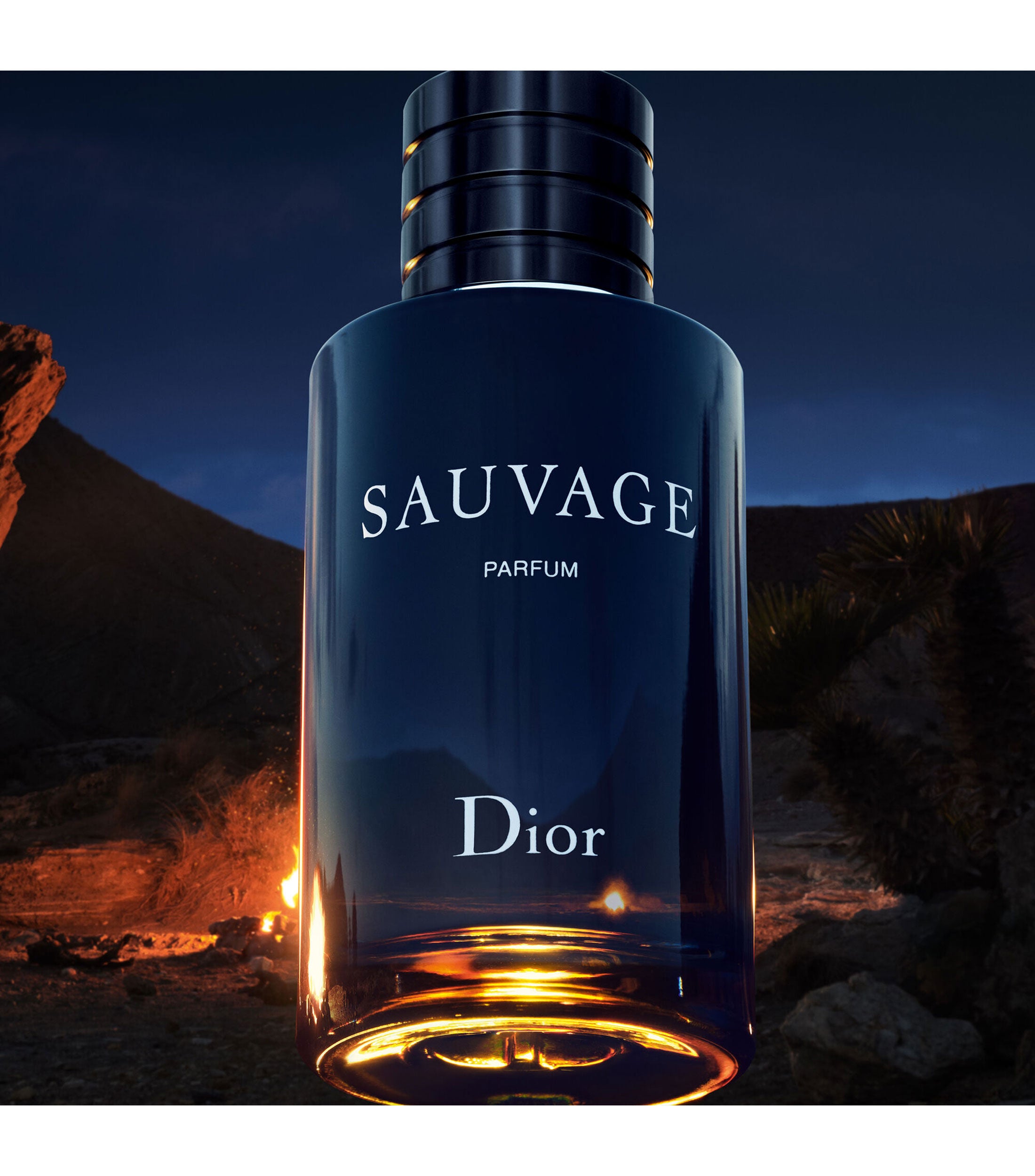 Sauvage Parfum 100ml EDP Spray